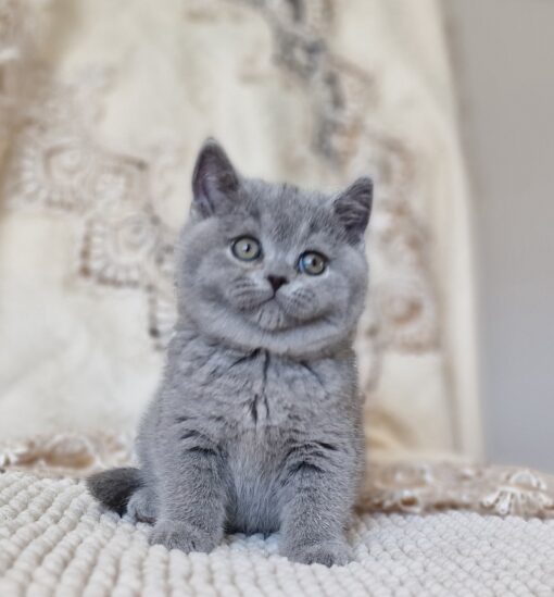 MILO
