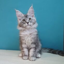 PERLA